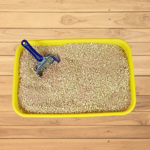 Billion Fast Absorbing Cat Litter 5L with Active Odour Control