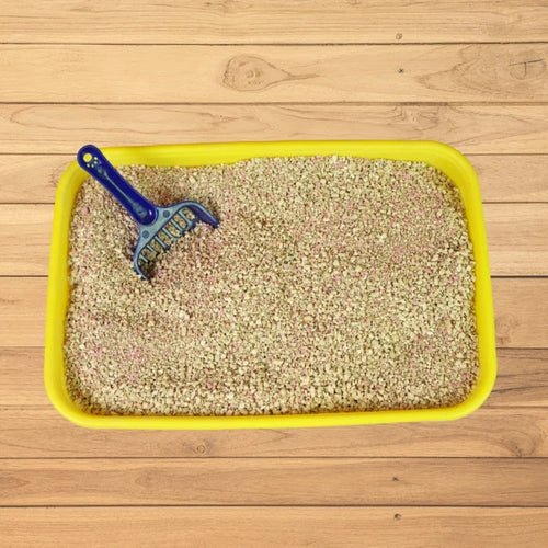Billion Fast Absorbing Cat Litter 5L with Active Odour Control